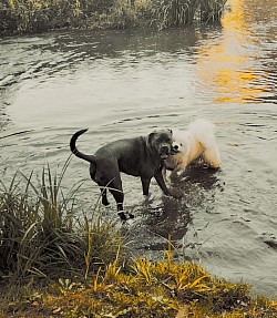 Une ballade avec un arrêt à la rivière